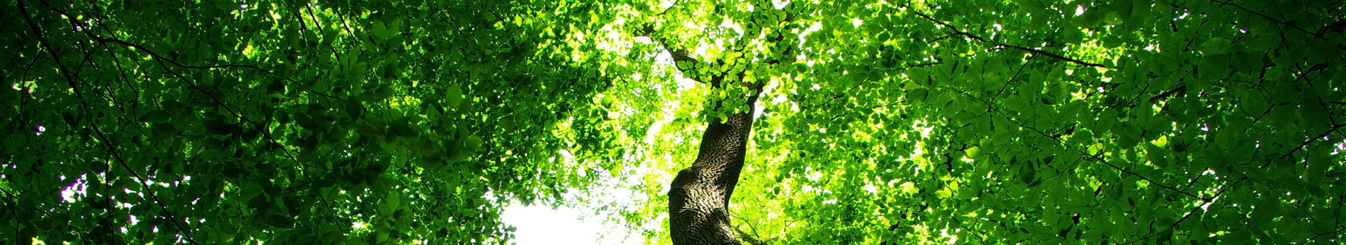 startseiten-slider-1